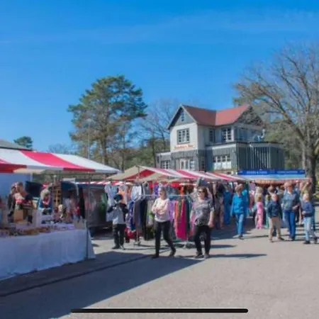 Luxe Vakantiehuisje In De Veluwe Camping Samoza *