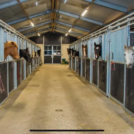 Luxe Vakantiehuisje In De Veluwe Camping Samoza *