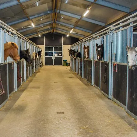 Luxe In De Veluwe Samoza Kemp
